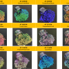 Arts & Craft : Shifting Glitter