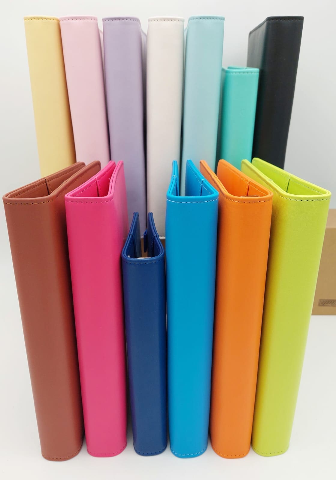Binders : Macaron Budget Binders
