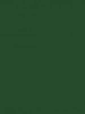 2005144 - Cricut Premium Vinyl Removable 30 5 cm x 122 cm (Forest Green)