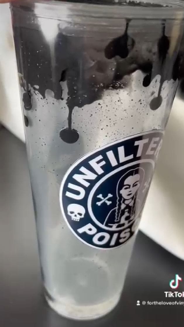 Snow Globe : Distilled Water