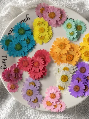 Resin Supplies : Dried Flower Pressed Flower