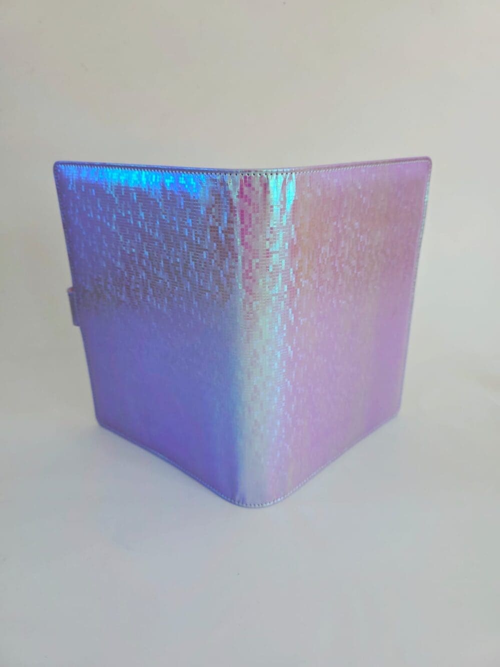 Budget Binders : A5 Iridescent Budget Binders