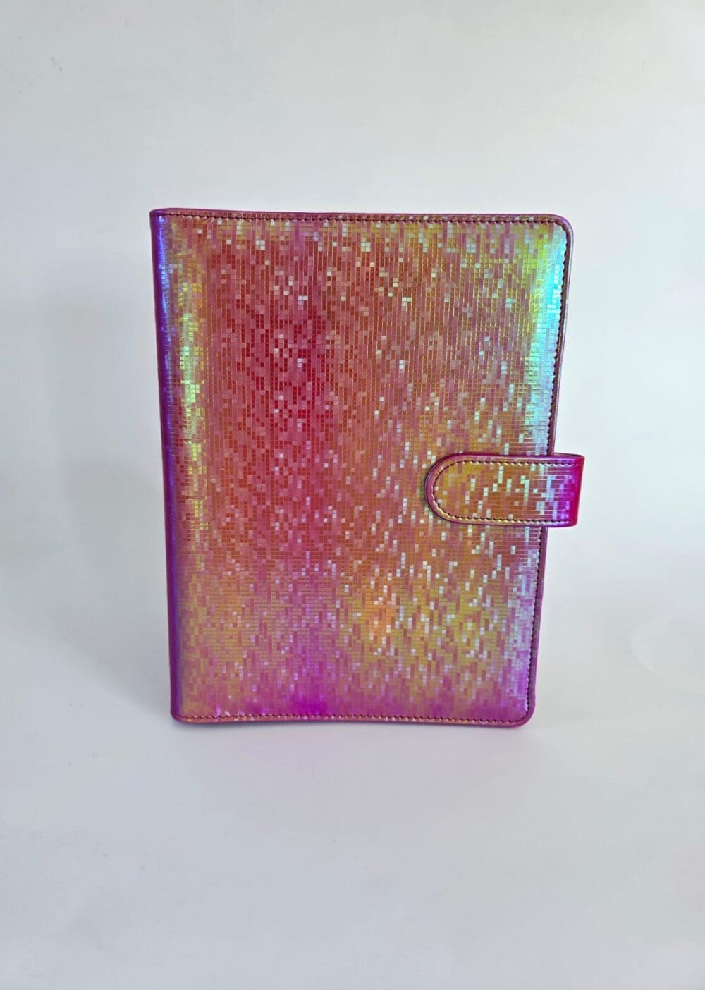 Budget Binders : A5 Iridescent Budget Binders