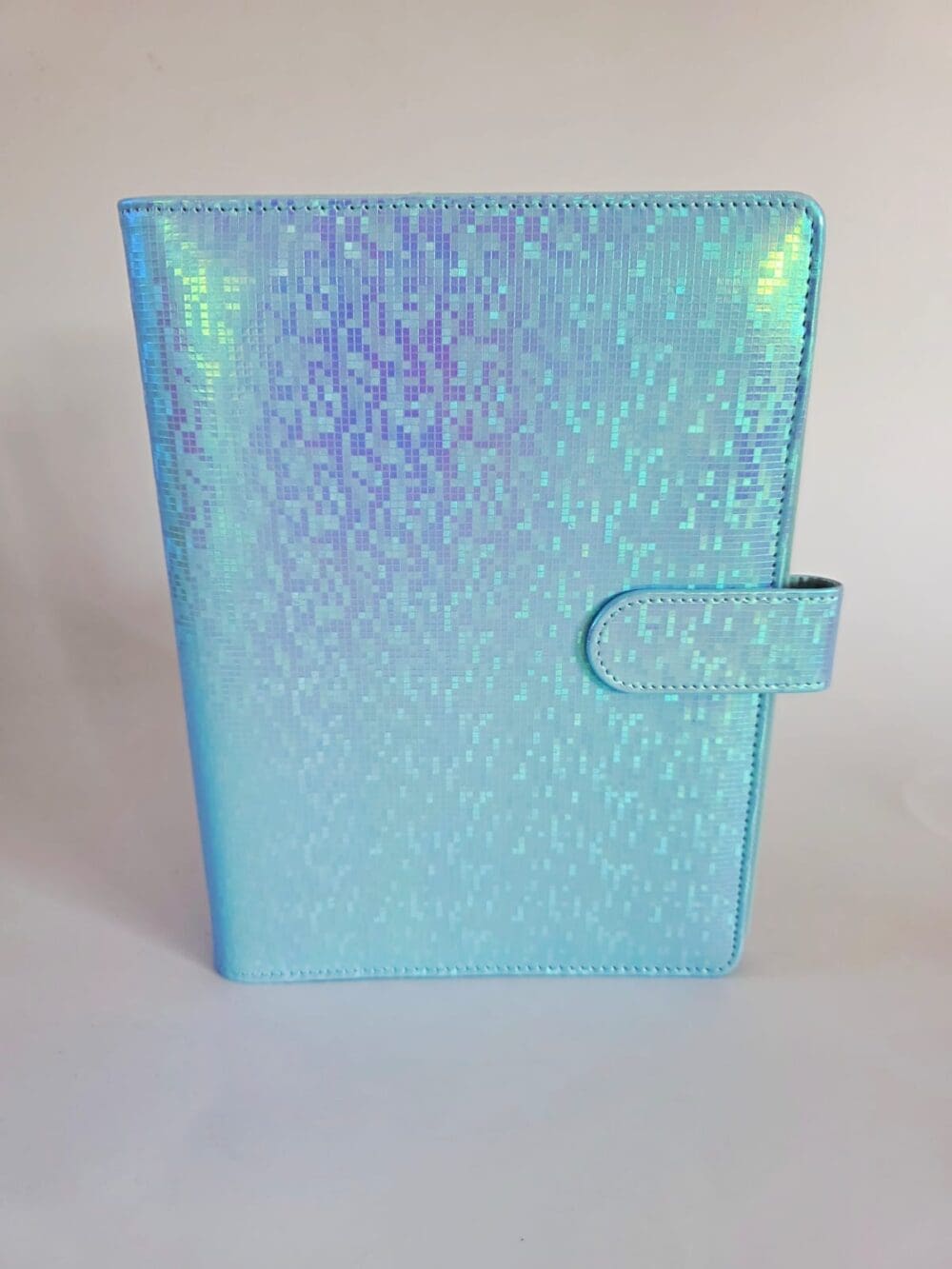 Budget Binders : A5 Iridescent Budget Binders