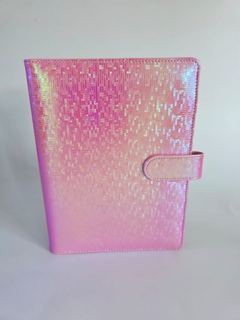Budget Binders : A5 Iridescent Budget Binders