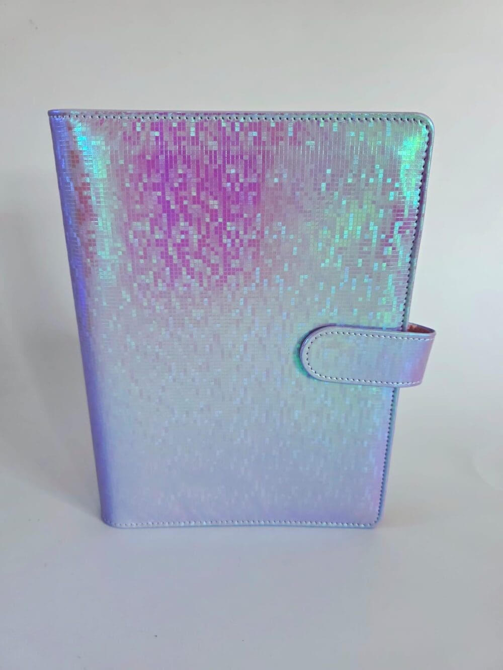 Budget Binders : A5 Iridescent Budget Binders