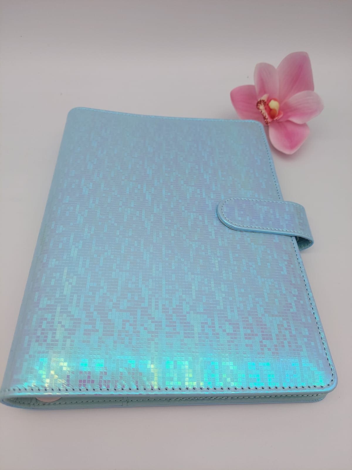 Budget Binders : A5 Iridescent Budget Binders