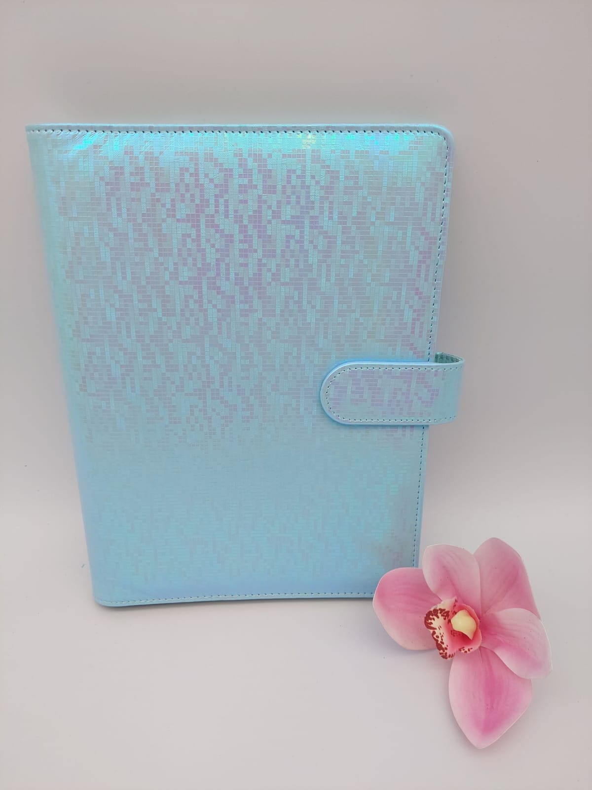 Budget Binders : A5 Iridescent Budget Binders