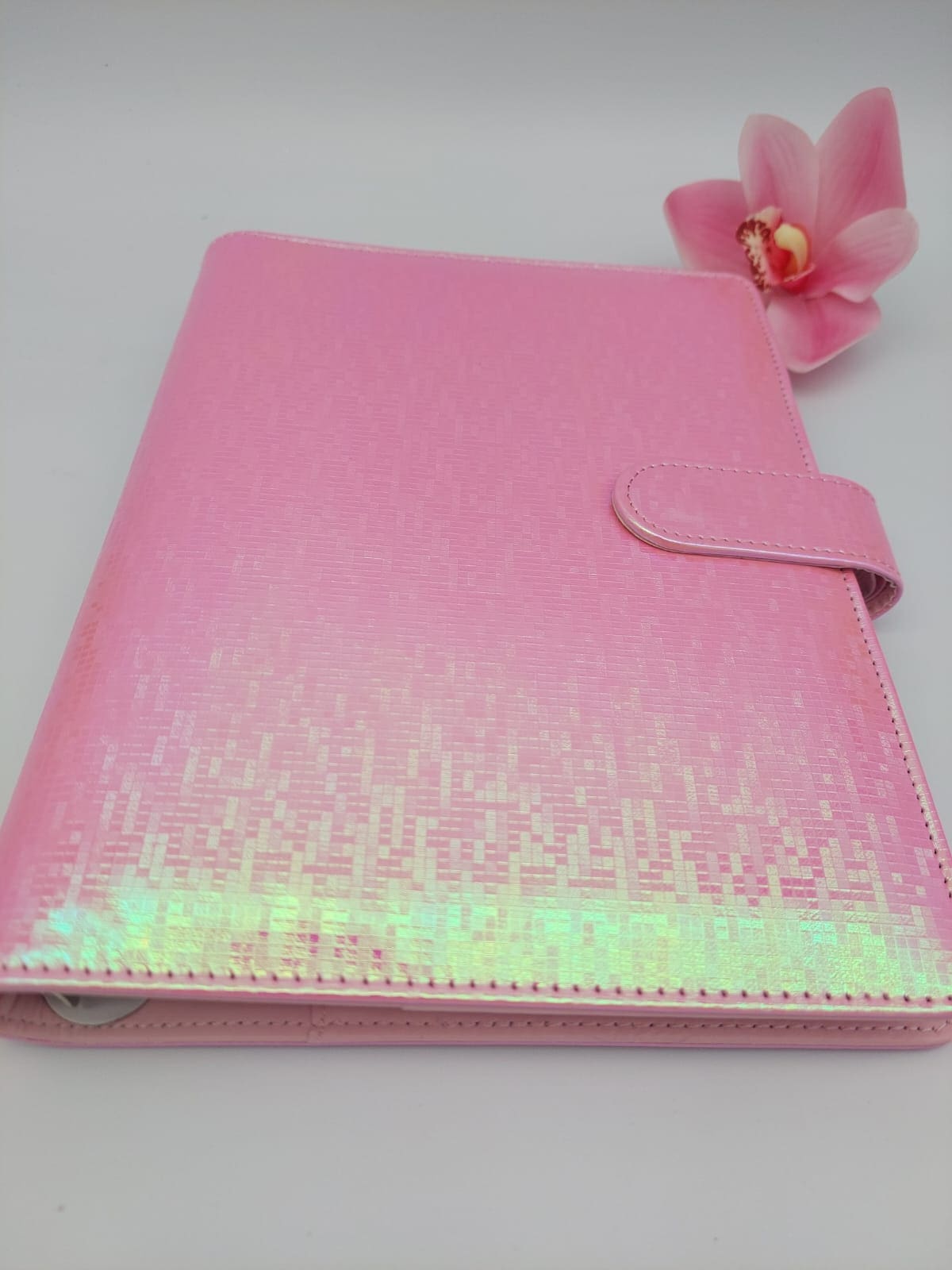 Budget Binders : A5 Iridescent Budget Binders