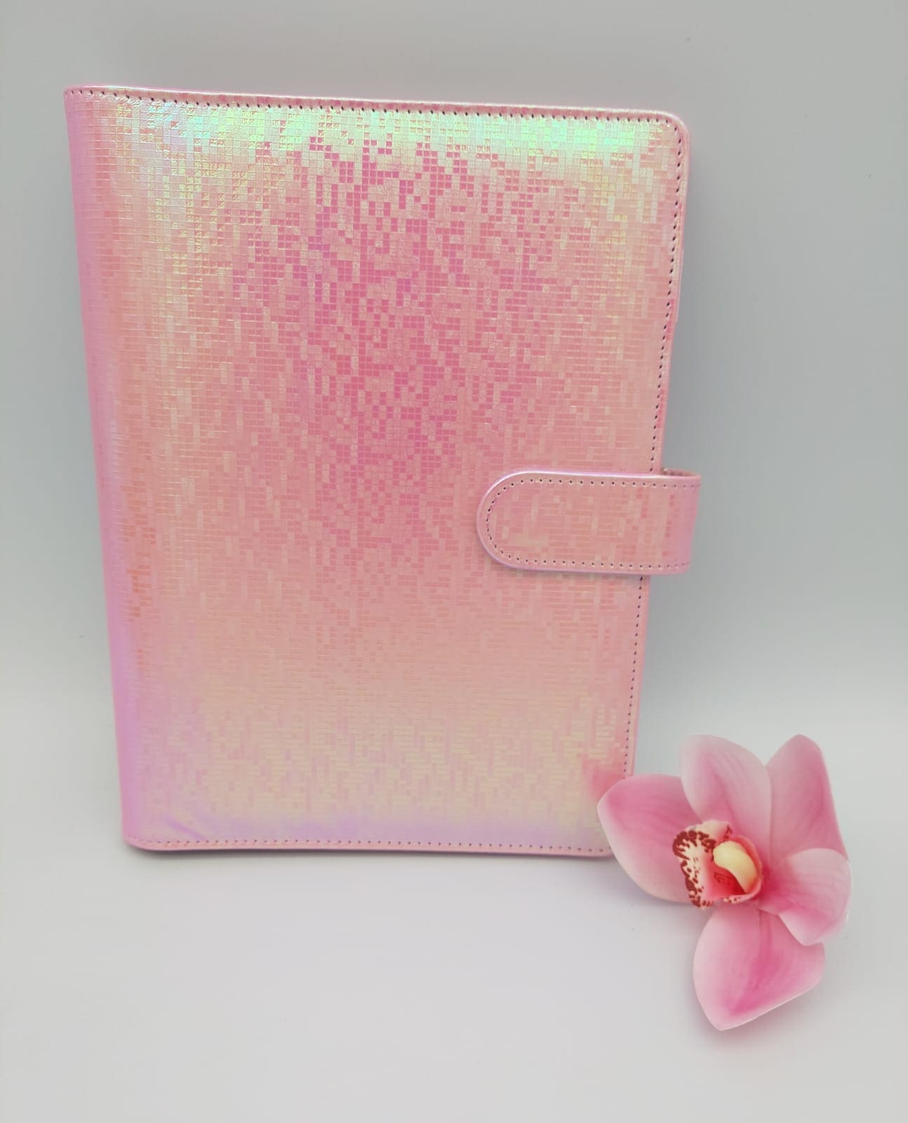 Budget Binders : A5 Iridescent Budget Binders