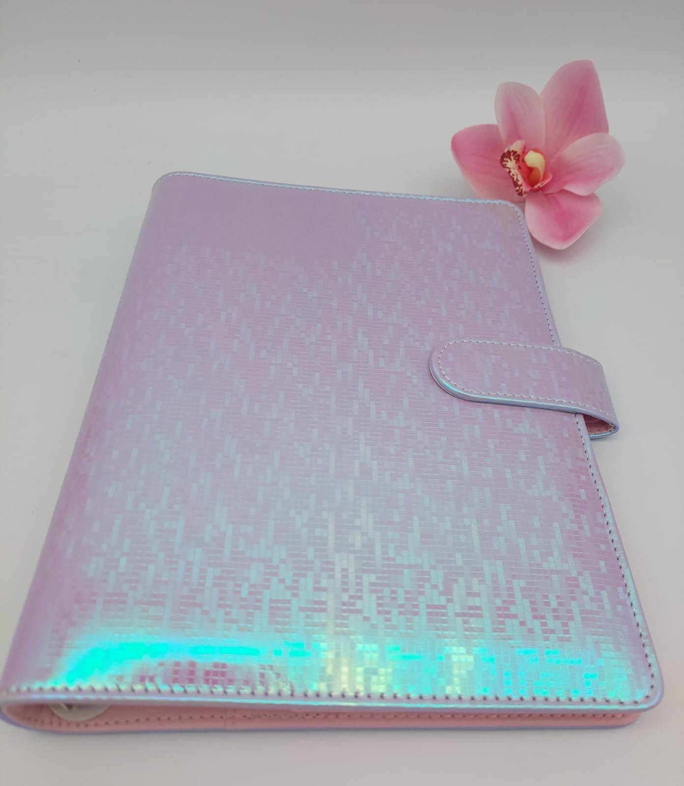 Budget Binders : A5 Iridescent Budget Binders