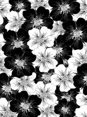 BlackWhiteAnemoneFloralFantasy Viola Patterned HTV & Adhesive : Black & White Anemone Floral Fantasy (6)