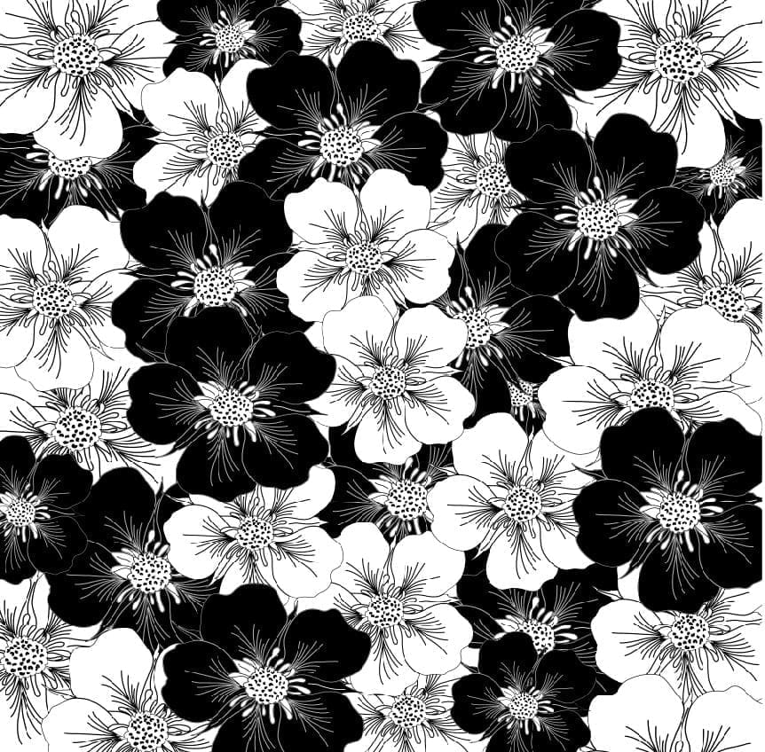 Viola Patterned HTV & Adhesive : Black & White Anemone Floral Fantasy (6)