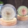 Resin & Epoxy : Sphere Silicone Moulds