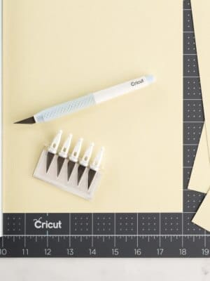 2004843 - Cricut TrueControl Knife Kit (Blue) with 5x spare blades  