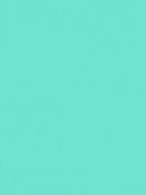 2008642 - Cricut Smart Vinyl Removable 33x91cm 1 sheet (Mint)