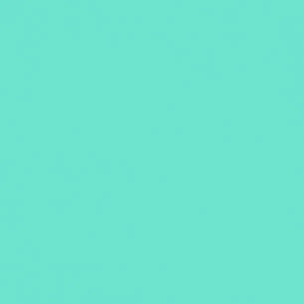 2008642 - Cricut Smart Vinyl Removable 33x91cm 1 sheet (Mint)