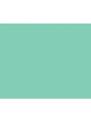 2005219 - Cricut Premium Vinyl perm 30x120cm (Pastel Green)