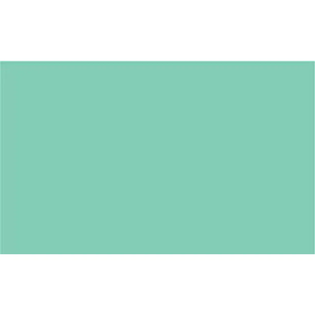 2005219 - Cricut Premium Vinyl perm 30x120cm (Pastel Green)
