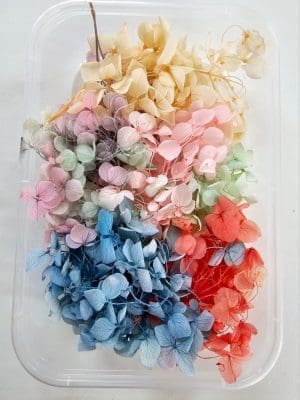 Epoxy, Soap & Candle Art : Dried Flowers (DF10)