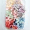 Epoxy, Soap & Candle Art : Dried Flowers (DF10)