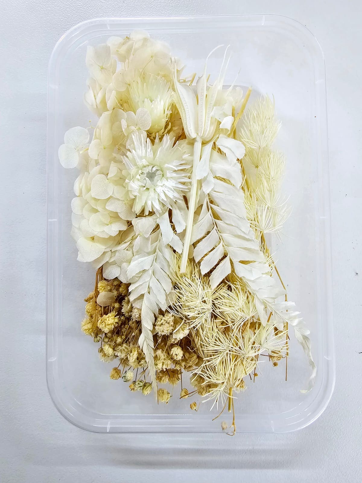 Epoxy, Soap & Candle Art : Dried Flowers (DF11)