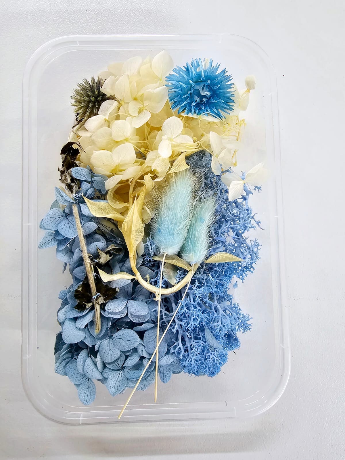 Epoxy, Soap & Candle Art : Dried Flowers (DF13)