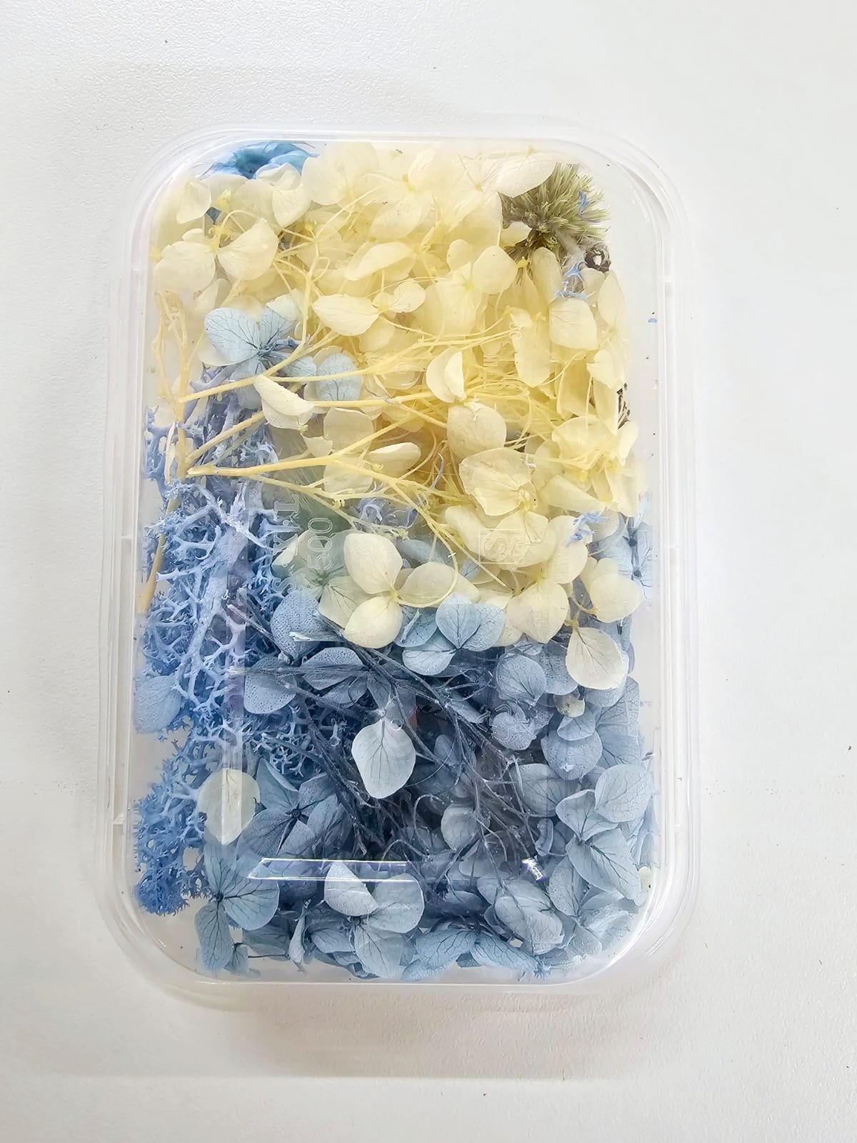 Epoxy, Soap & Candle Art : Dried Flowers (DF13)