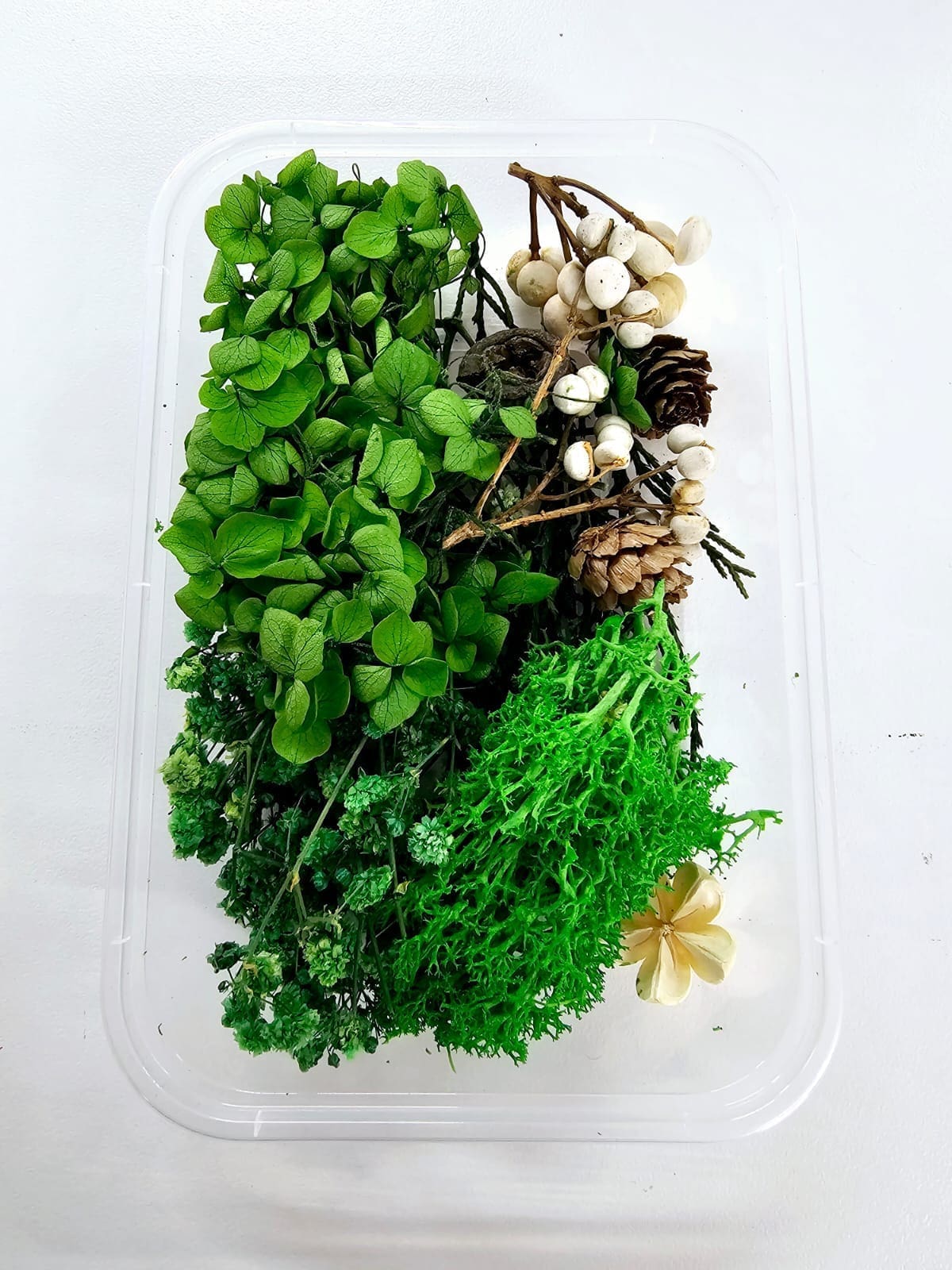 Epoxy, Soap & Candle Art : Dried Flowers (DF14)