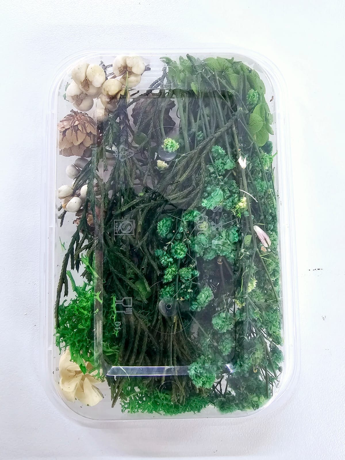 Epoxy, Soap & Candle Art : Dried Flowers (DF14)