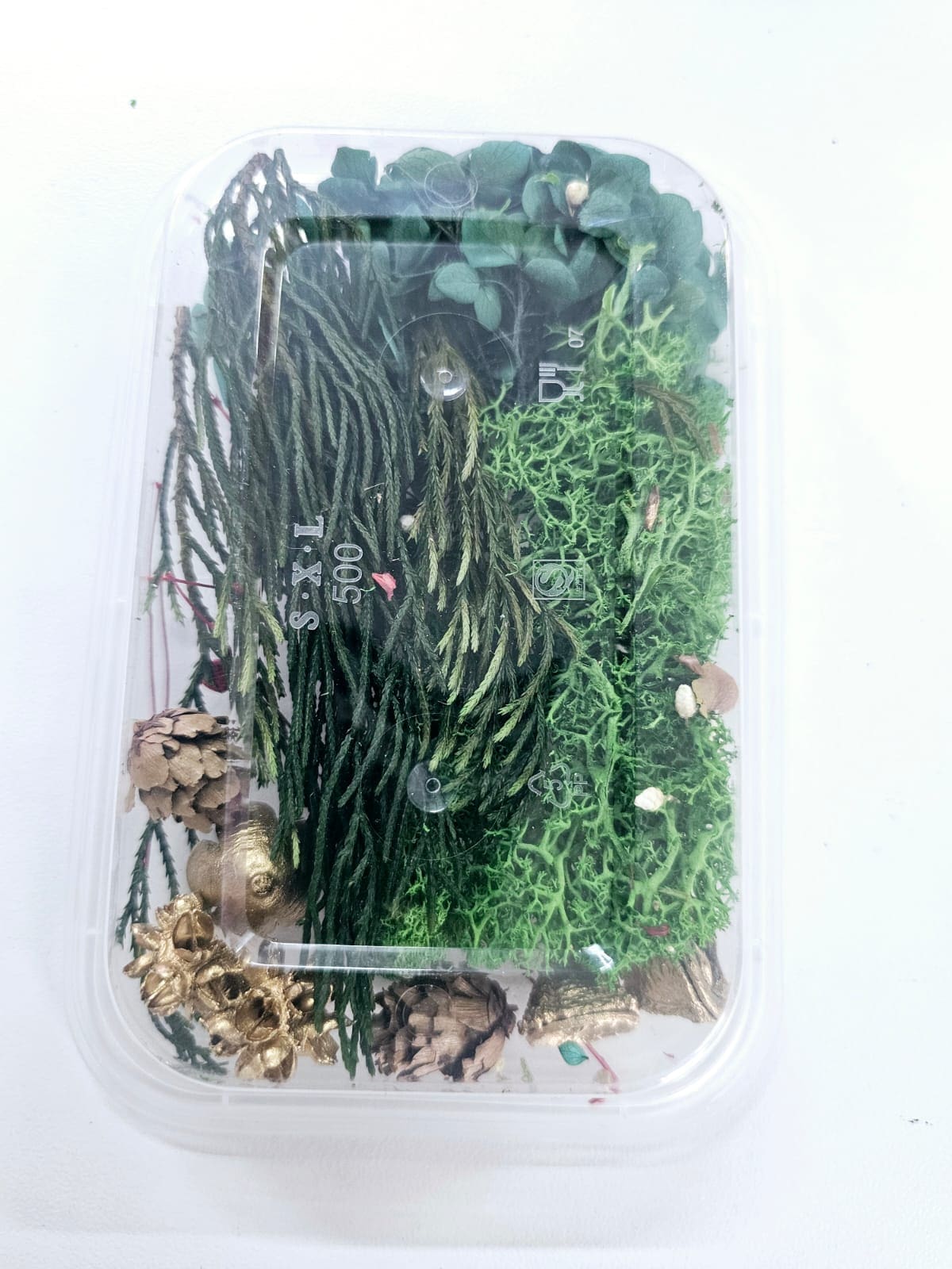 Epoxy, Soap & Candle Art : Dried Flowers (DF19)