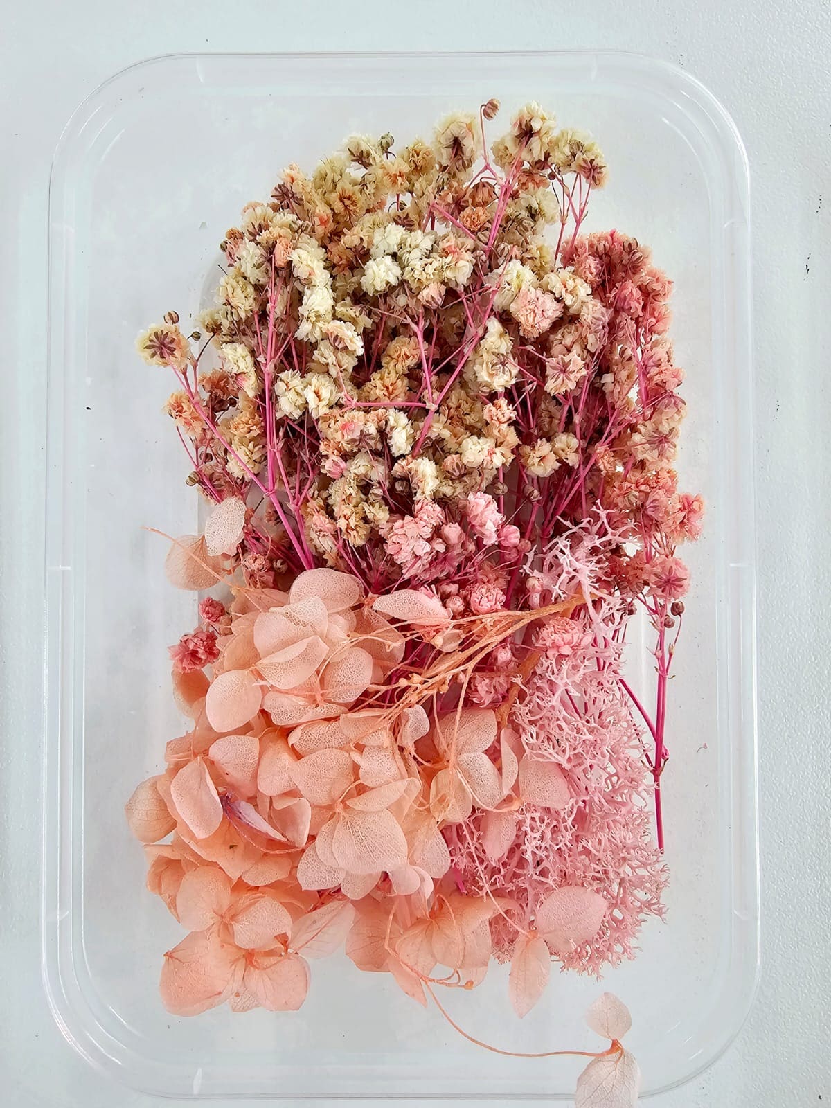 Epoxy, Soap & Candle Art : Dried Flowers (DF1)