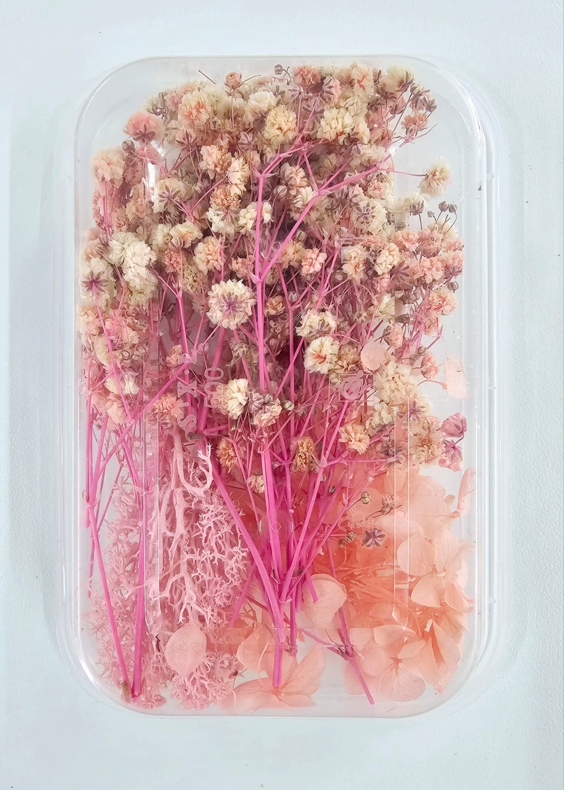 Epoxy, Soap & Candle Art : Dried Flowers (DF1)