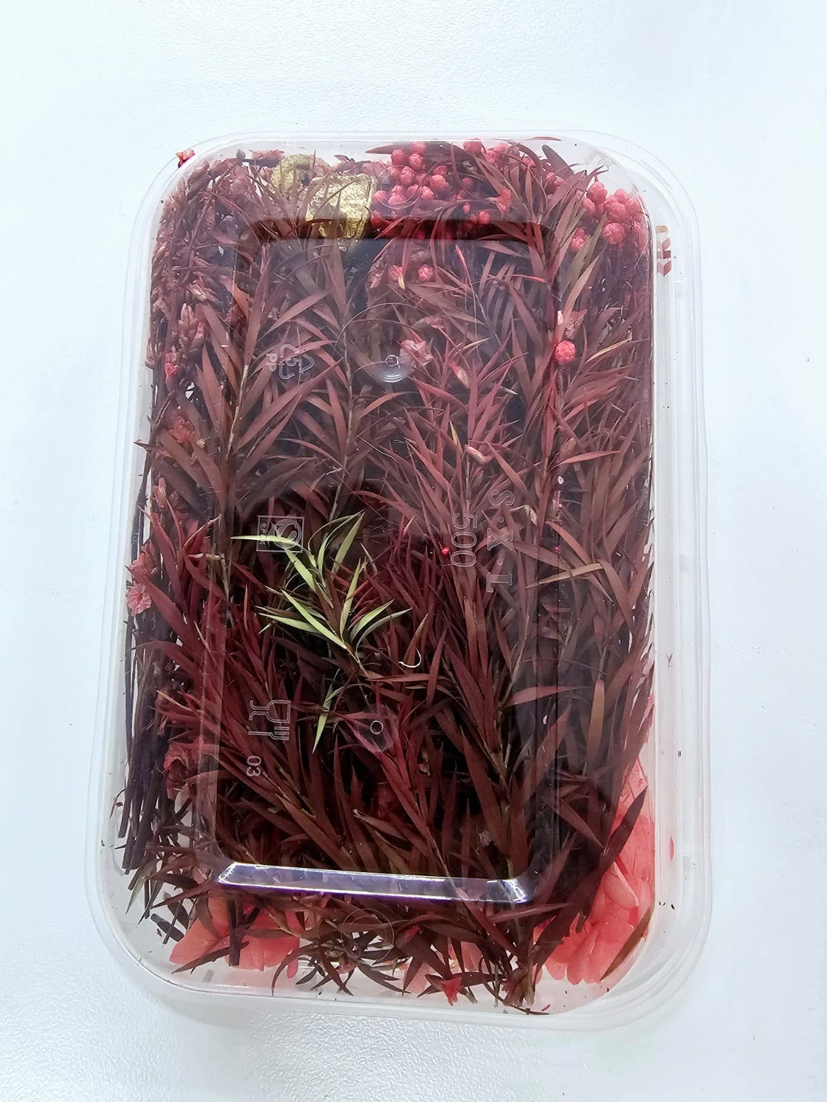 DF21B Epoxy, Soap & Candle Art : Dried Flowers (DF21)