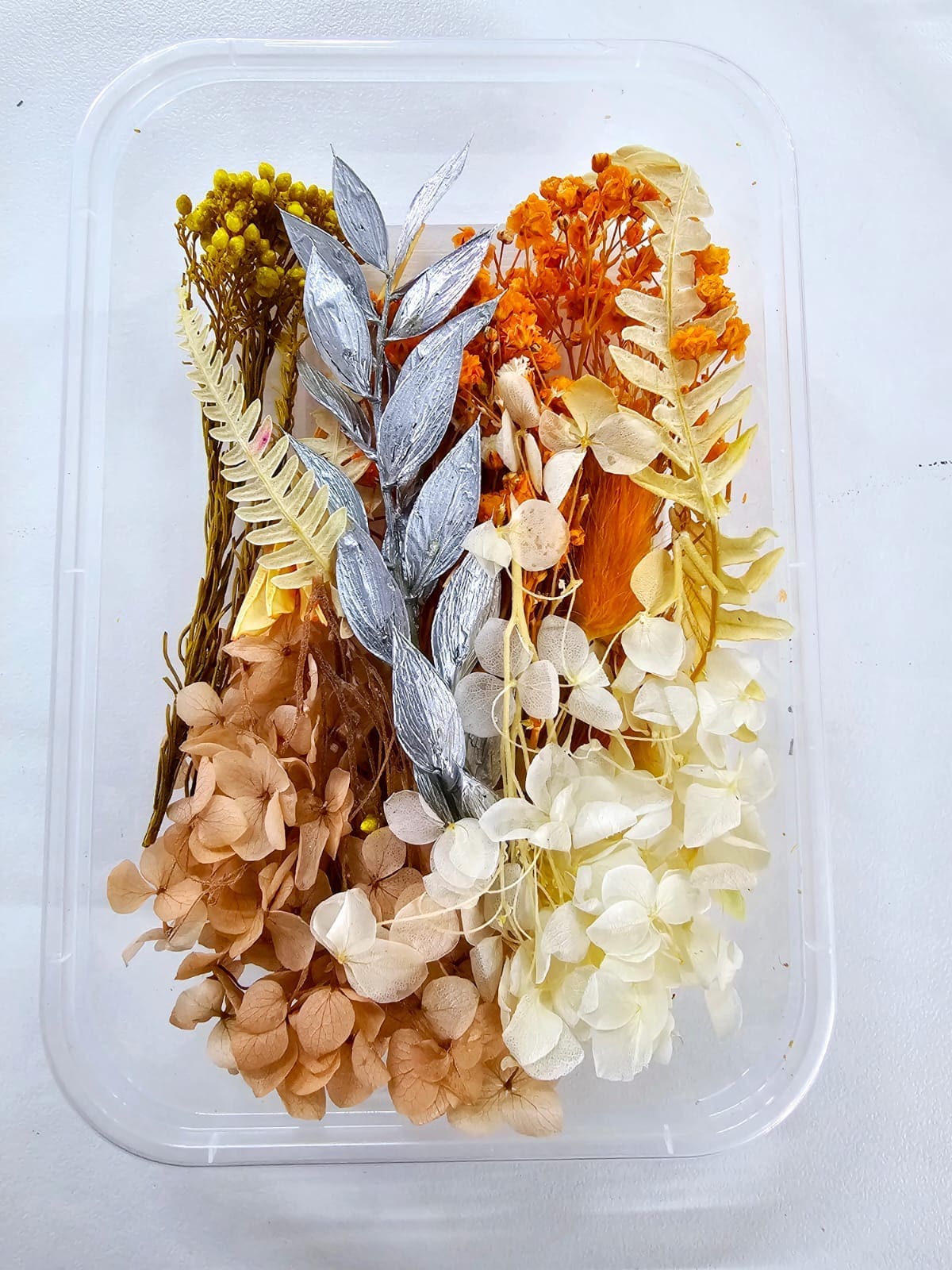 Epoxy, Soap & Candle Art : Dried Flowers (DF23)