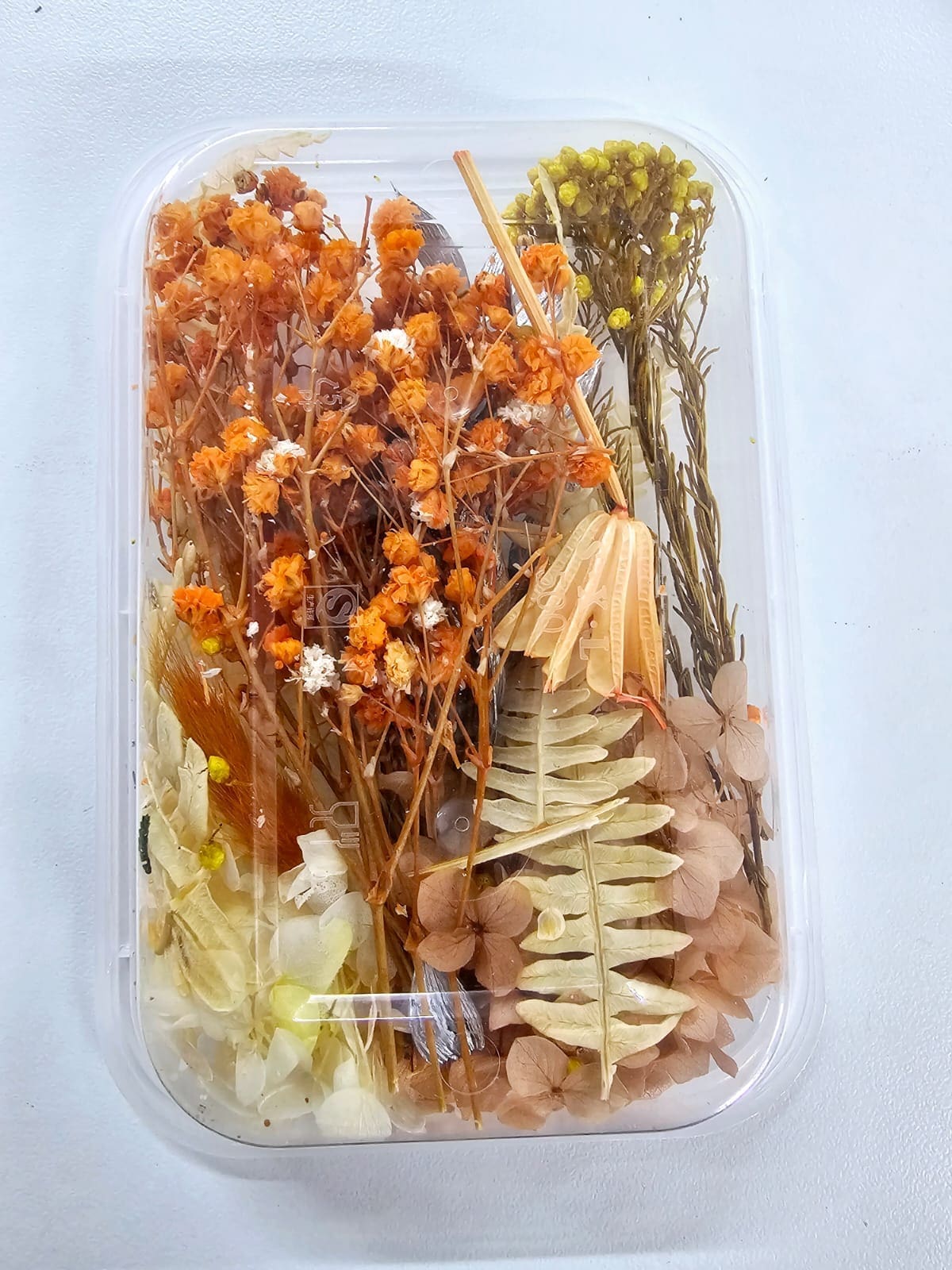 Epoxy, Soap & Candle Art : Dried Flowers (DF23)