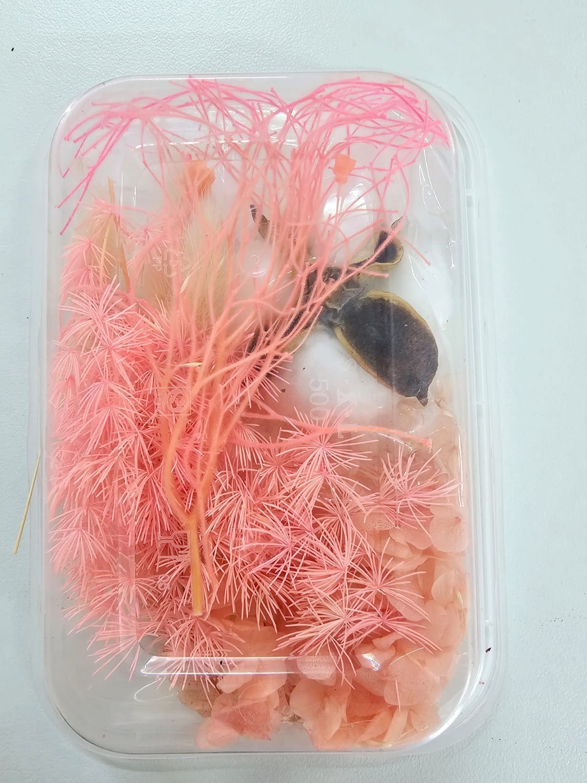 Epoxy, Soap & Candle Art : Dried Flowers (DF3)