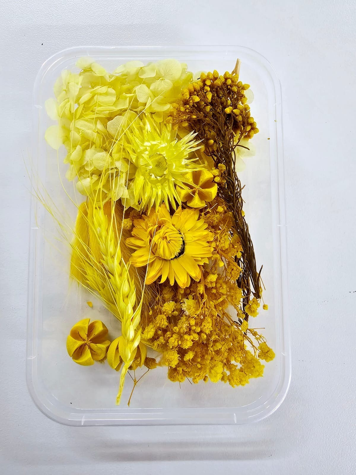 Epoxy, Soap & Candle Art : Dried Flowers Dried (DF4)