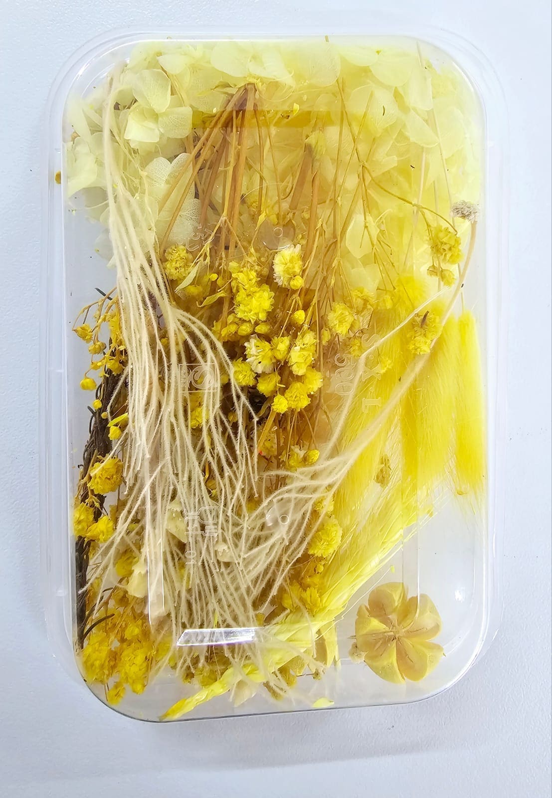 Epoxy, Soap & Candle Art : Dried Flowers Dried (DF4)