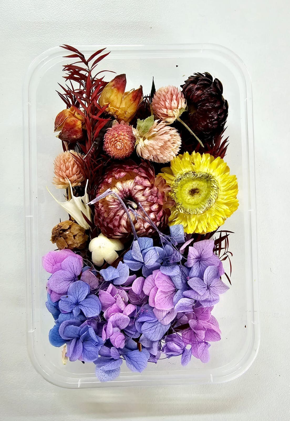 Epoxy, Soap & Candle Art : Dried Flowers (DF5)