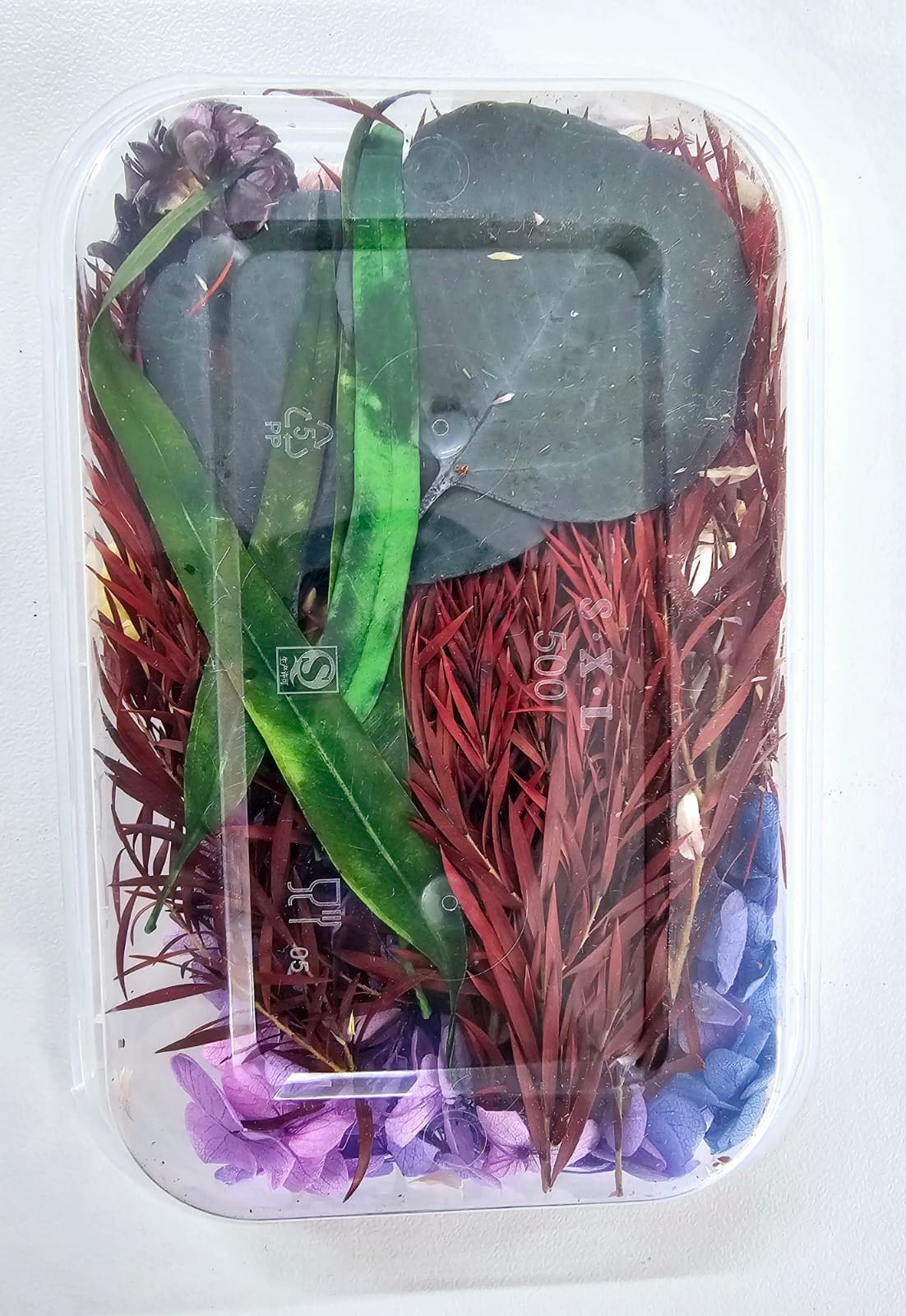 Epoxy, Soap & Candle Art : Dried Flowers (DF5)