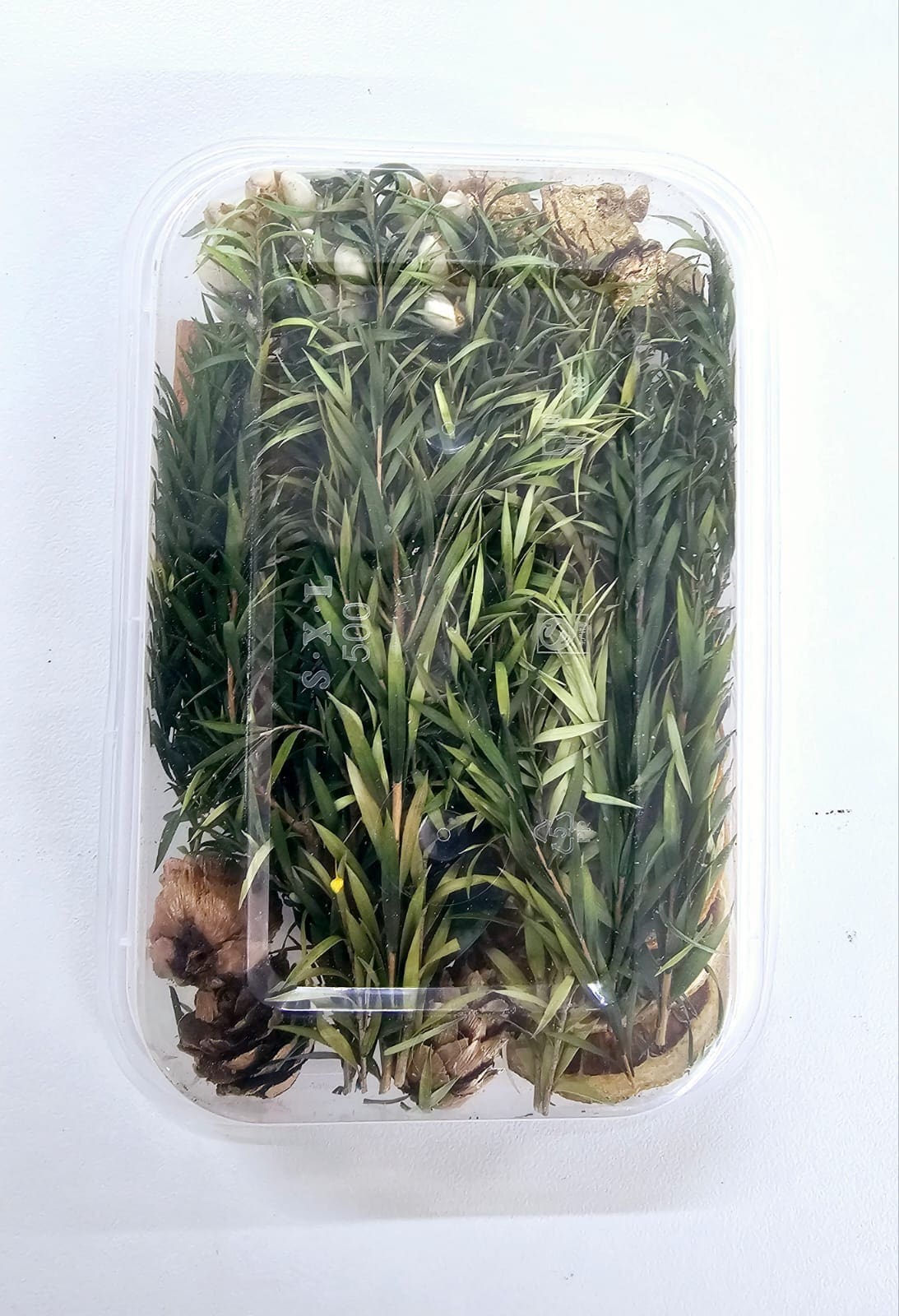 Epoxy, Soap & Candle Art : Dried Flowers (DF6)