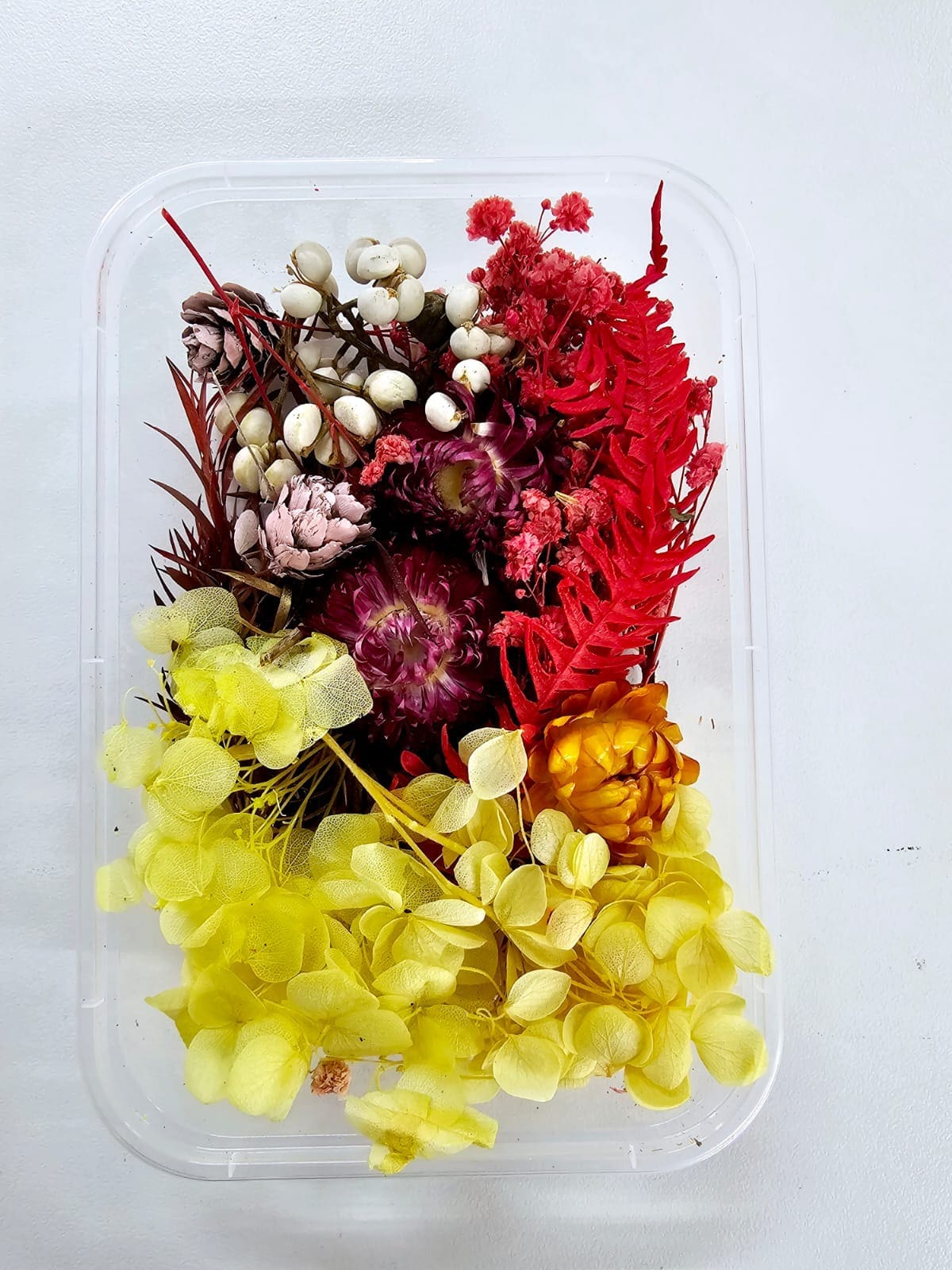 Epoxy, Soap & Candle Art : Dried Flowers (DF7)