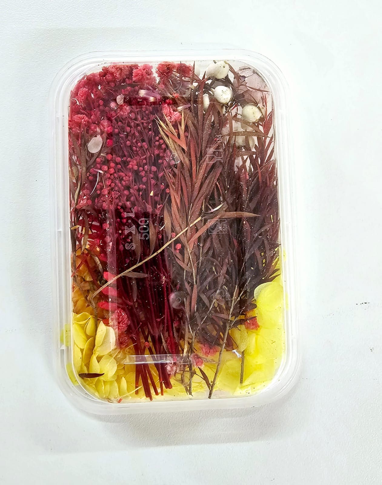 Epoxy, Soap & Candle Art : Dried Flowers (DF7)