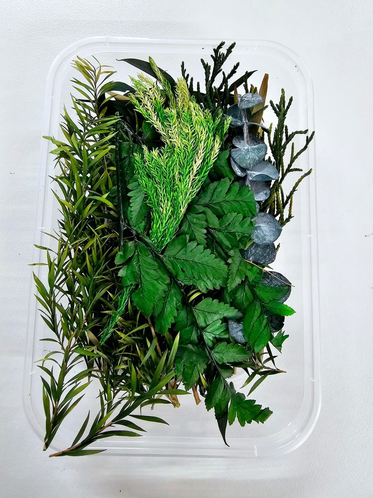 Epoxy, Soap & Candle Art : Dried Flowers (DF9)