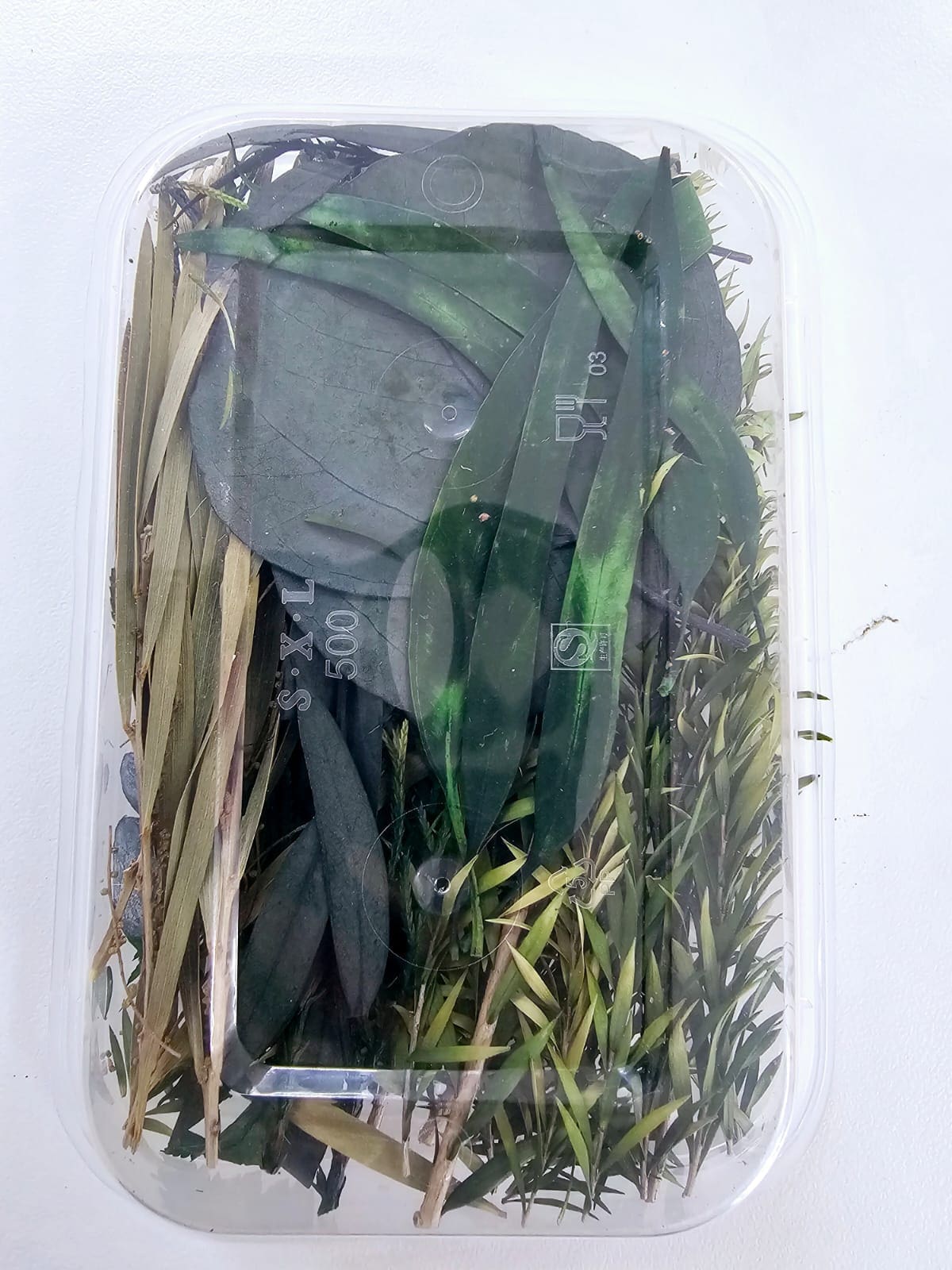 Epoxy, Soap & Candle Art : Dried Flowers (DF9)