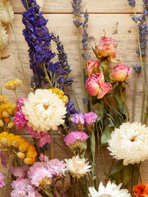 #240 Fine Point DecoColor Premium Paint Marker