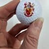 3D UV Printer : Direct Print onto Golf Balls