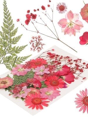 Epoxy, Soap & Candle Art : Dried Flowers Dried (DF4)