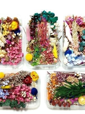 Arts & Craft : Wooden Mixing Sticks (Pack of 50)